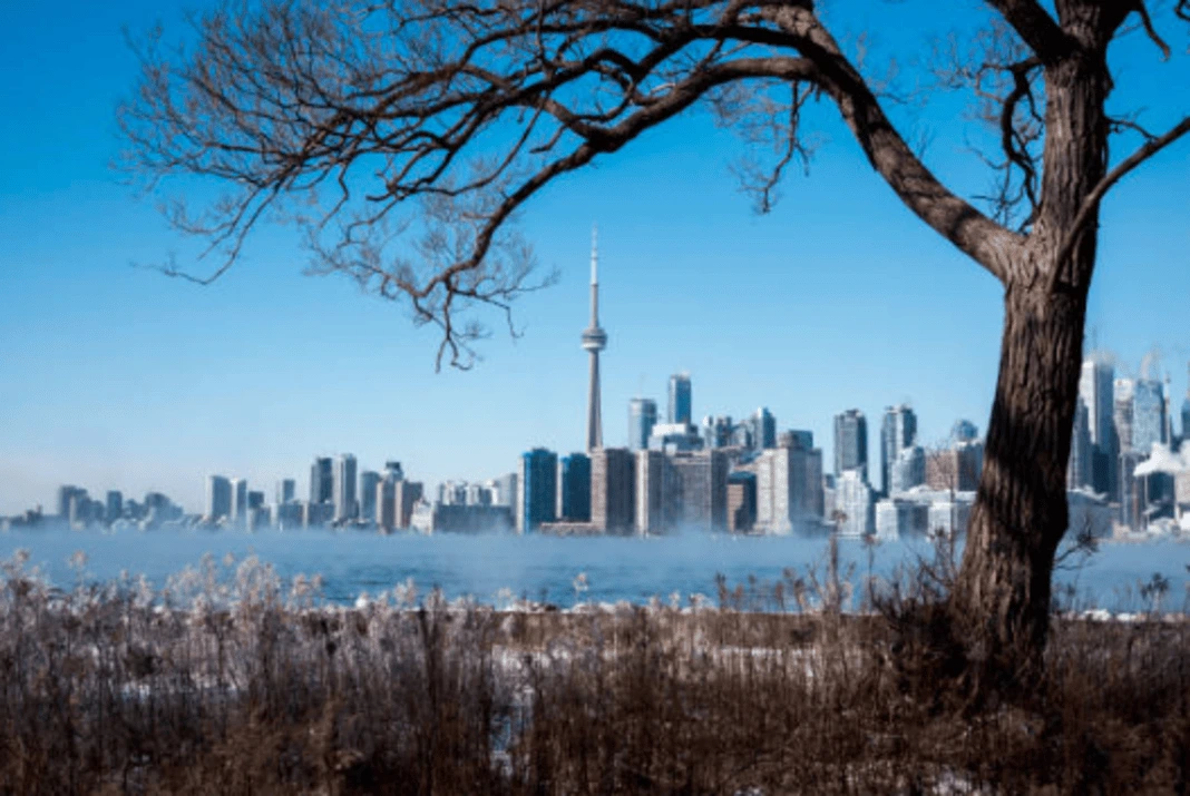 The Best Things to Do in Toronto This Weekend (February 8th9th, 2025)